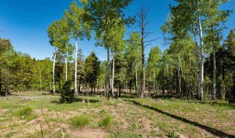 Lot 437 El Camino Real, Angel Fire, NM 87710