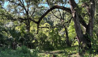 14155 NE 47TH Ave, Anthony, FL 32617