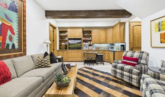 914 E Cooper Ave, Aspen, CO 81611