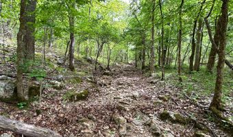 County Road 544, Bakersfield, MO 65609