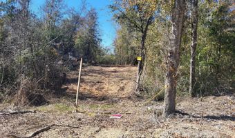 NW Tommy Tucker Road lot 1, Altha, FL 32421