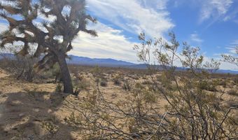 320 Acres W Brittlebush Dr, Yucca, AZ 86438