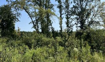 MILTON WHITE ROAD, Bastrop, LA 71220