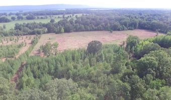 25 Acres 6th Pl, Atkins, AR 72823