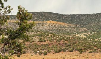 77 CR N8604, Concho, AZ 85924