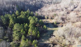 6777 Hwy 207, Anderson, AL 35610