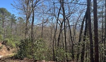 000 Holland Farm Rd, Andrews, NC 28901