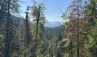 Tract 3 USFS 2294, Clark Fork, ID 83811