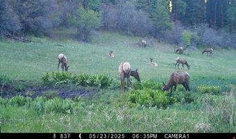 15098 CR 240, Bayfield, CO 81122