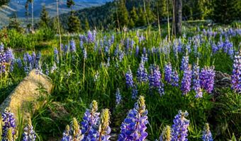 270 Theodosia Ln, Anaconda, MT 59711