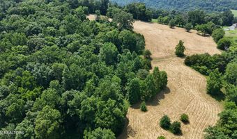 241 Collins Rd, Blaine, TN 37709