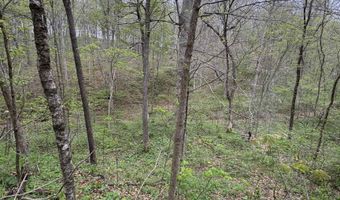 Tract 5 E Pine Road Common, Bloomfield, IN 47424