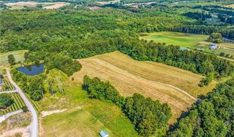 157 Buttercup Ln, Ararat, NC 27007