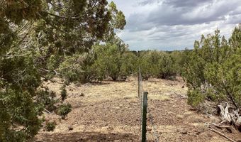 Xxx Stanford Drive 72, Concho, AZ 85924