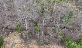Old Courthouse Road, Appomattox, VA 24522