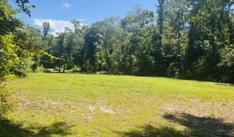 1042 Lake Cadeli Rd, Bartow, GA 30413