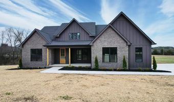 256 Watauga Ln, Birchwood, TN 37308