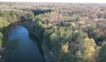 V/L Wildwood Road lot 1, Alger, MI 48610
