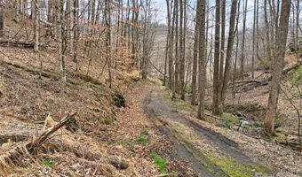2701 Roses Branch Rd, Bakersville, NC 28705