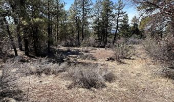 Nighthawk Drive lot 19, Bonanza, OR 97623