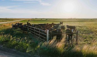 885 Th Rd, Bassett, NE 68714