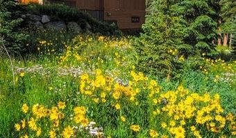 280 Whispering Pines Cir, Breckenridge, CO 80424