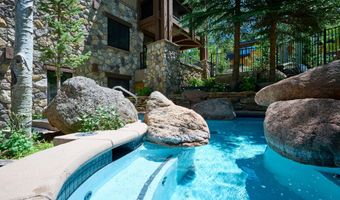 131 E Durant Ave 410, Aspen, CO 81611
