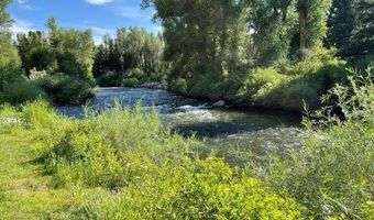 209 Deer Path Ln Lot 9, Almont, CO 81230