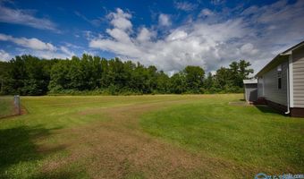 30619 Highway 110, Ardmore, TN 38449