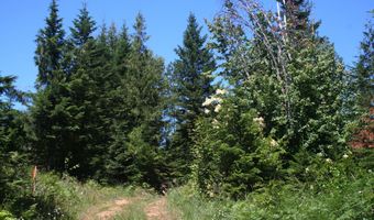 18 Majestic Mountain Rd, Clark Fork, ID 83811