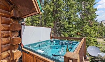 229 Lee Ln, Breckenridge, CO 80424