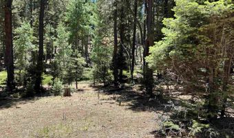 Alpine Lake Way Lot 3 Blk E, Angel Fire, NM 87710