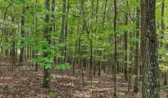12712 Cranfield Rd, Birchwood, TN 37308
