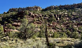 TBD X4 Road, Bedrock, CO 81411