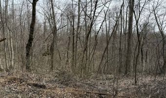 Malone Ridge Rd, Albany, KY 42602