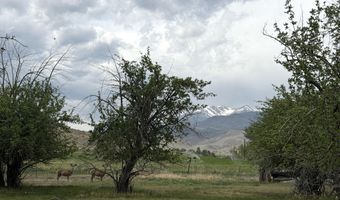 504 Lanier Rd, Challis, ID 83226