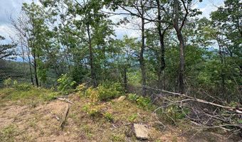 88 Acres Bolden Br, Andrews, NC 28901