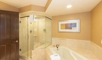 210 Offerson Rd 207, Week 51 & 52, Beaver Creek, CO 81620