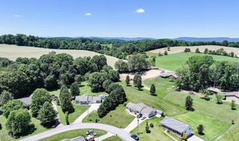 58 Fairview Ridges Dr, Afton, TN 37616
