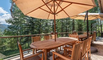 691 Pfister Dr, Aspen, CO 81611