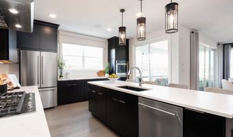 22899 ORCHARD GROVE Dr, Ashburn, VA 20148