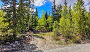 253 Mine Dump Rd Lot 31, Alma, CO 80440