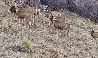 0 Beverly Dr, Berthoud, CO 80513