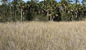 317 Paradise Ln, Apalachicola, FL 32320