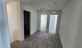 2605 Aversa St, Henderson, NV 89044