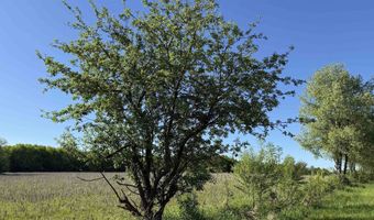 EAU CLAIRE RIVER ROAD lot 3, Aniwa, WI 54408