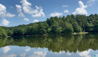 411 DR JENKINS Ln, Altoona, AL 35952