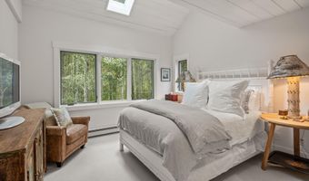 9555 Castle Creek Rd, Aspen, CO 81611