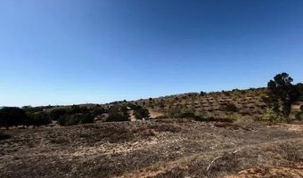 9562 Covey Ln, Escondido, CA 92026