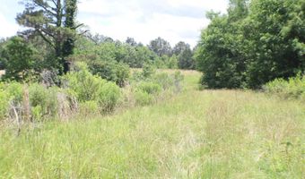 Vine Drive, Brandon, MS 39047